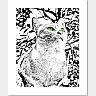 Cat Lovers Posters and Art